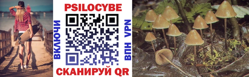 Галлюциногенные грибы Psilocybe  ссылка на мегу зеркало  Новокубанск 