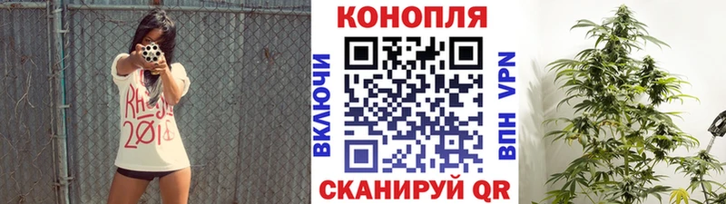 купить  сайты  Новокубанск  Бошки Шишки VHQ 